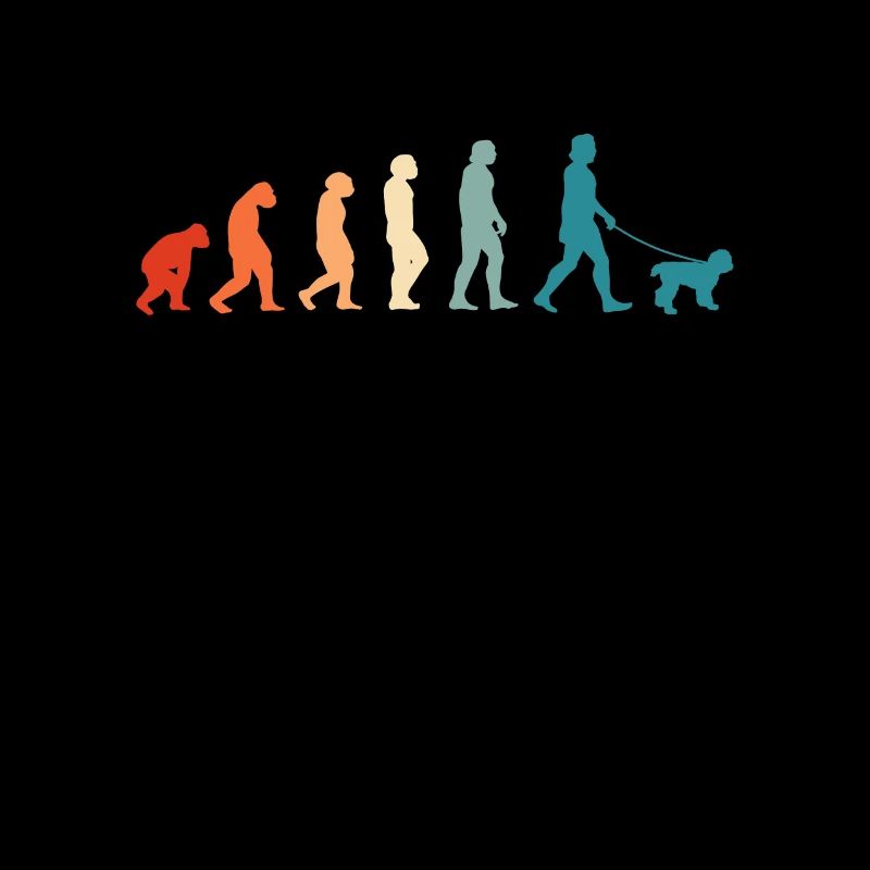 Labradoodle Evolution Australien Goldendoodle