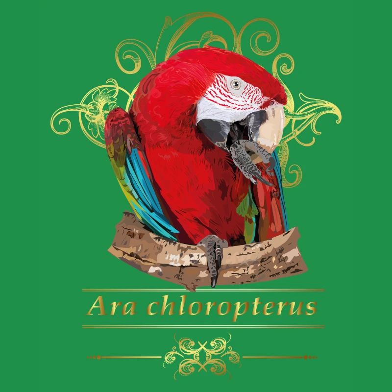 Red Macaw