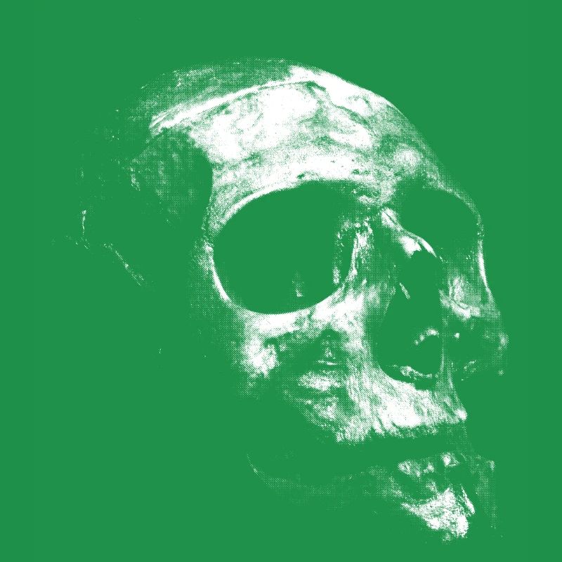 Old white skull