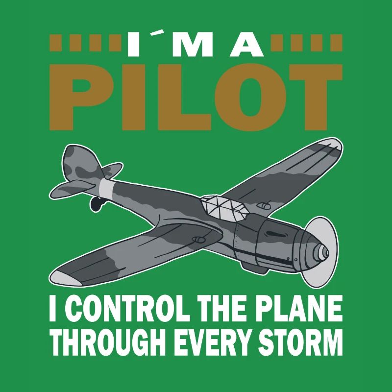 Pilot Through Every Storm Flugzeug Luftfahrt