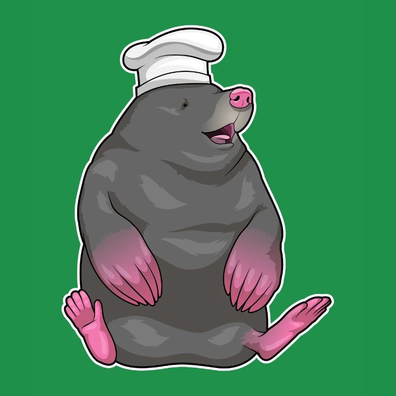 Mole Cook Chef's Hat