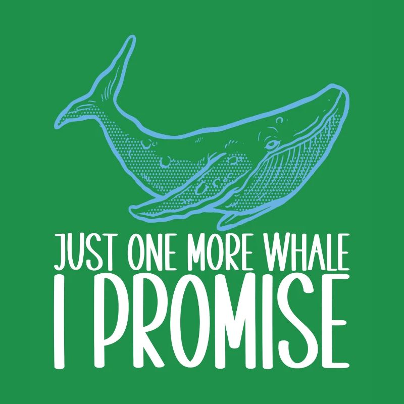 Osservatori di balene