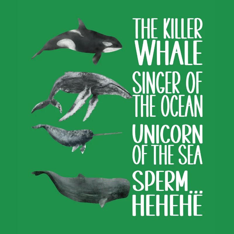 Osservatori di balene