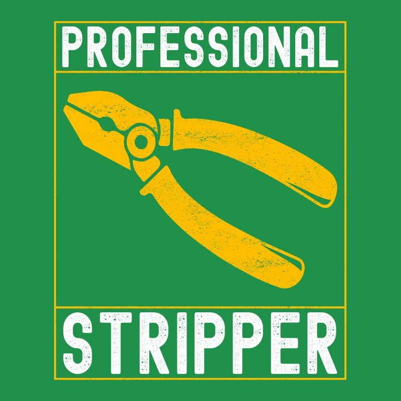 Electrician Electronics Technician