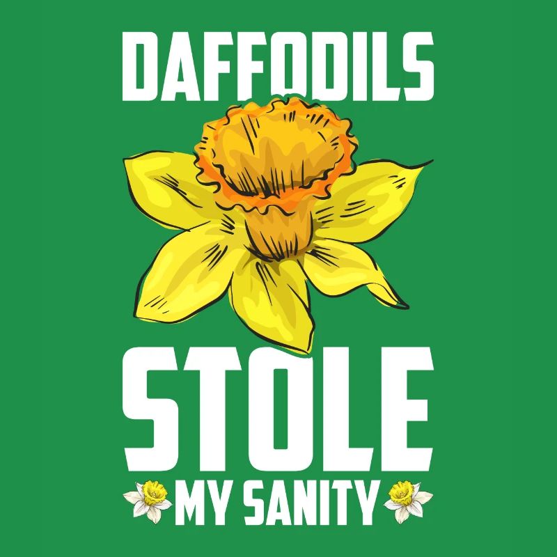 Daffodils Flower Daffodil Daffodils