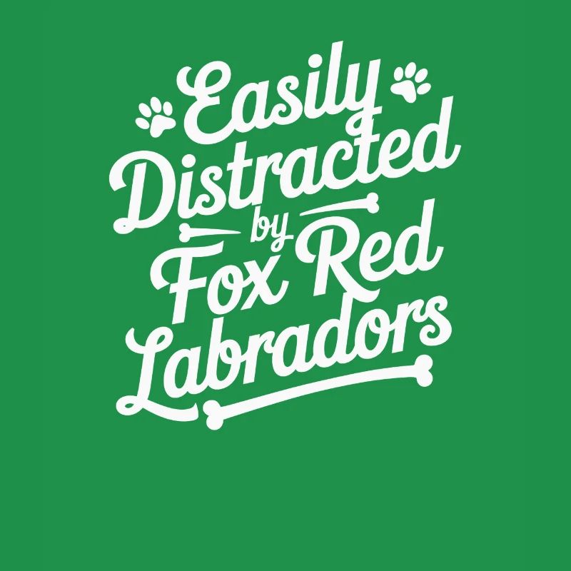 Easily Distracted By Fox Red Labradors
