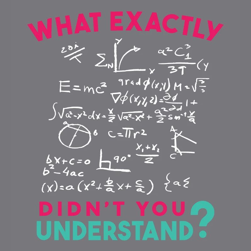 Physics Math Formula Joke
