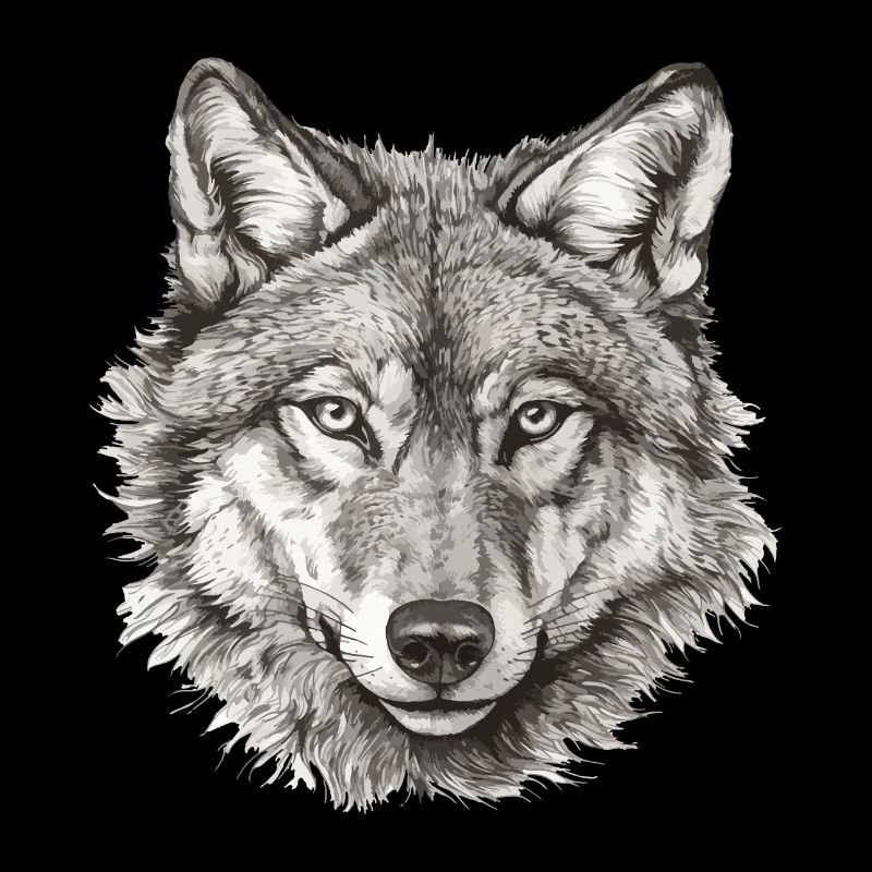 Wolf Wolf Head Black & White Drawn Art
