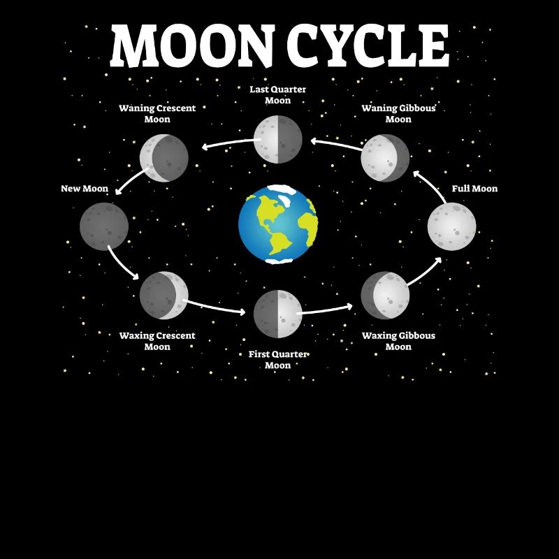 Phases de lune Moon Phases Lune Pleine Lune Astronomie