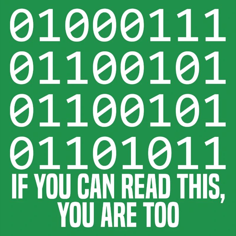 Programmer Coder Software Developer