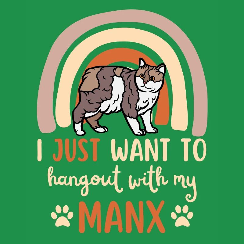 Chat Manx mignon