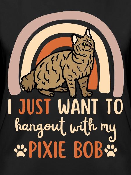Süße Pixie Bob Katze