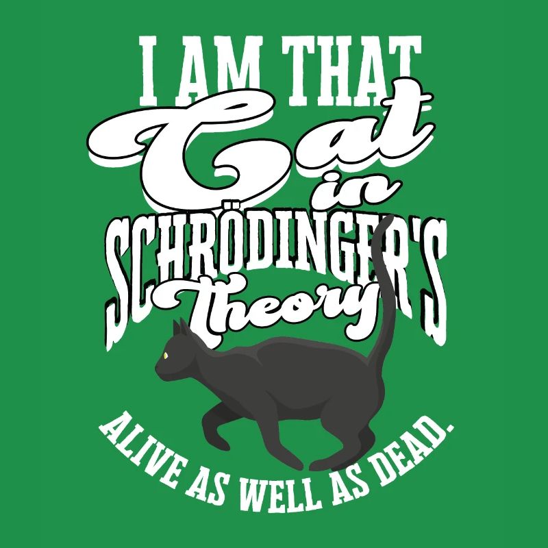 Schrodingers Katzentheorie Quantenphysik