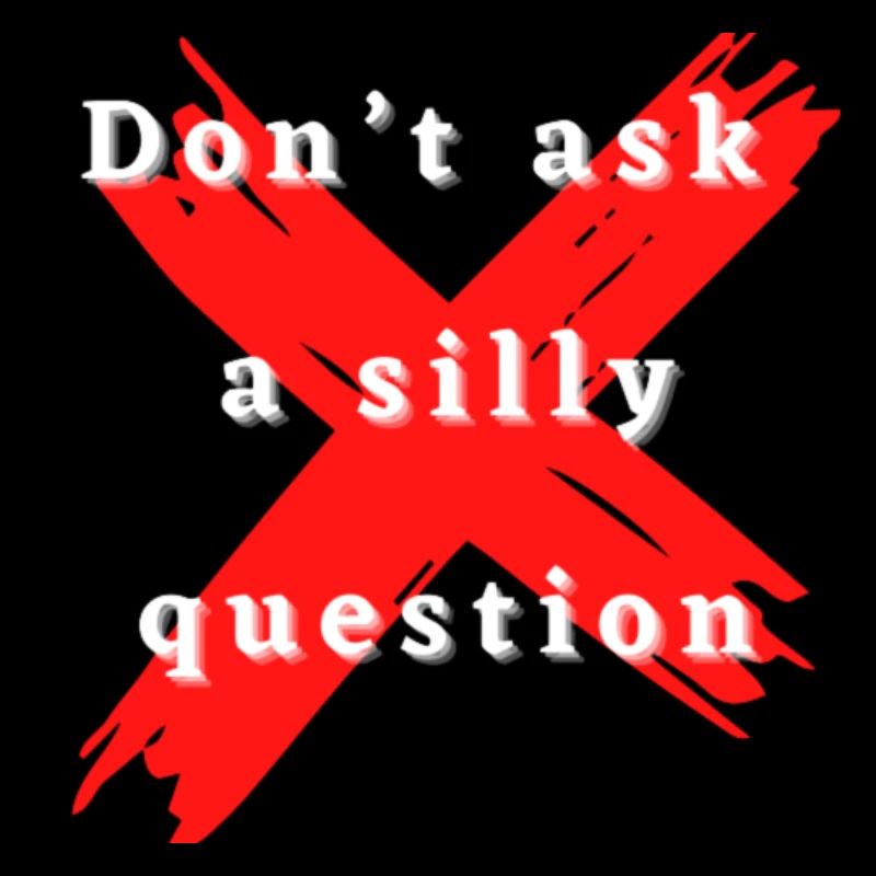 Don't ask a silly question cool