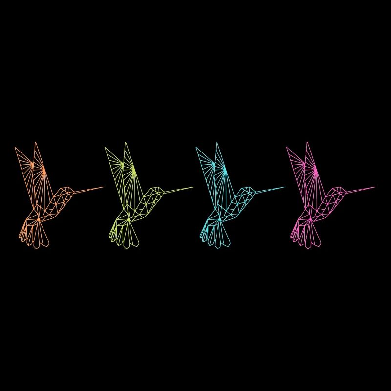 Colibris géométriques - Graphiques abstraits