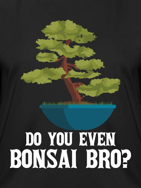 Bonsai Tree