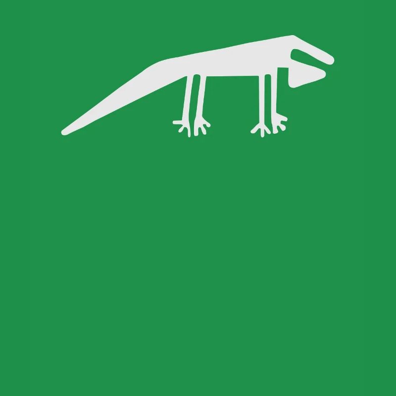 Lignes de Nazca | Pérou Geoglyphs Las Líneas De Nazca