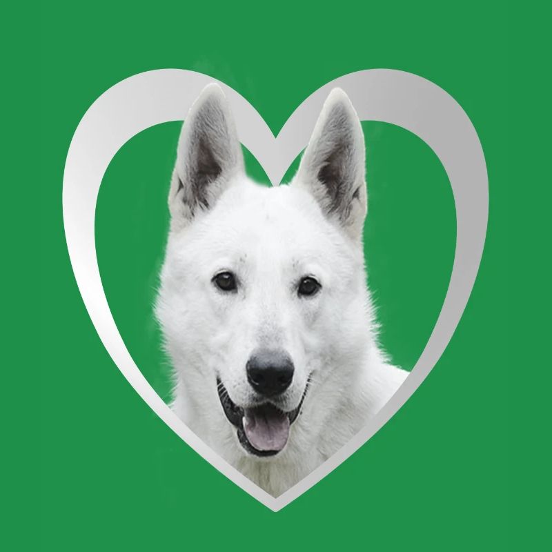 White Shepherd - White Shepherd Heart
