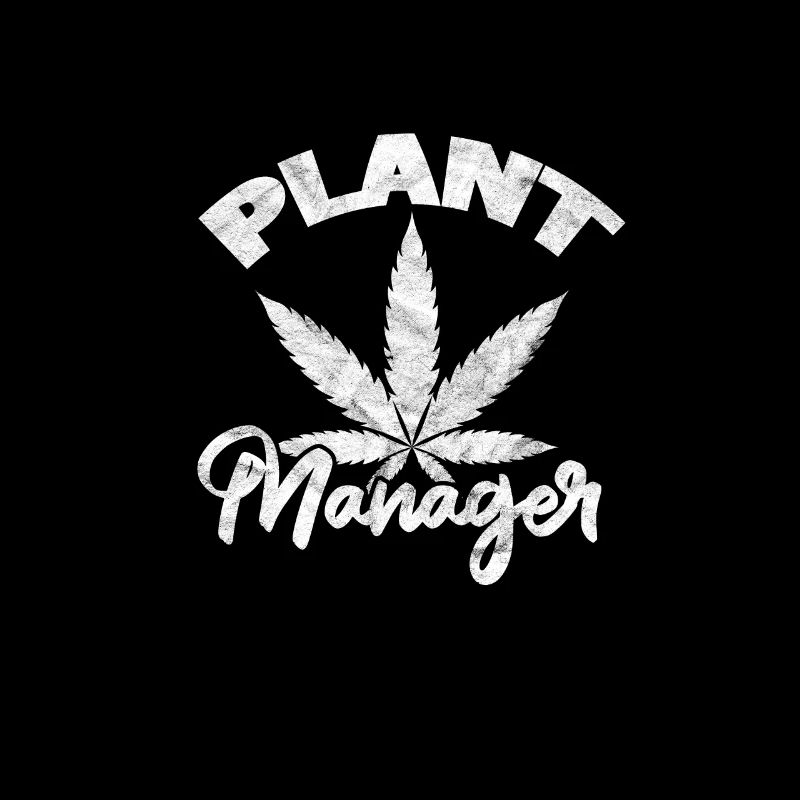 Cannabis
