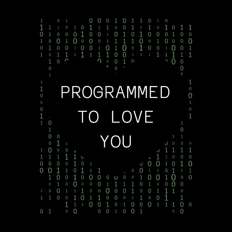 Developer Coder Programmer