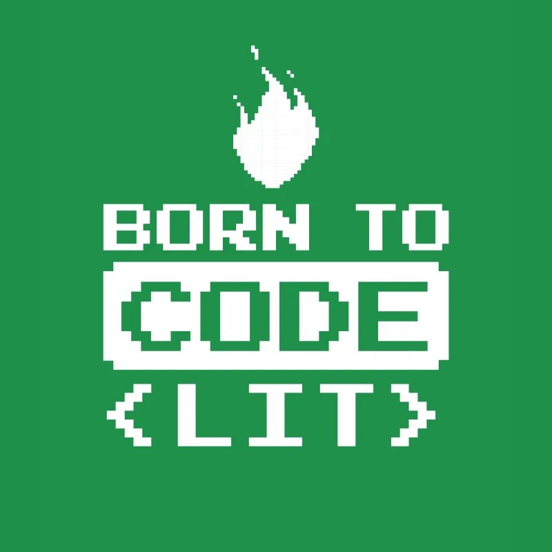 Developer Coder Programmer Funny