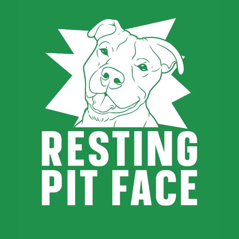 Pitbull Pitbull Verbot Resting Pit Face