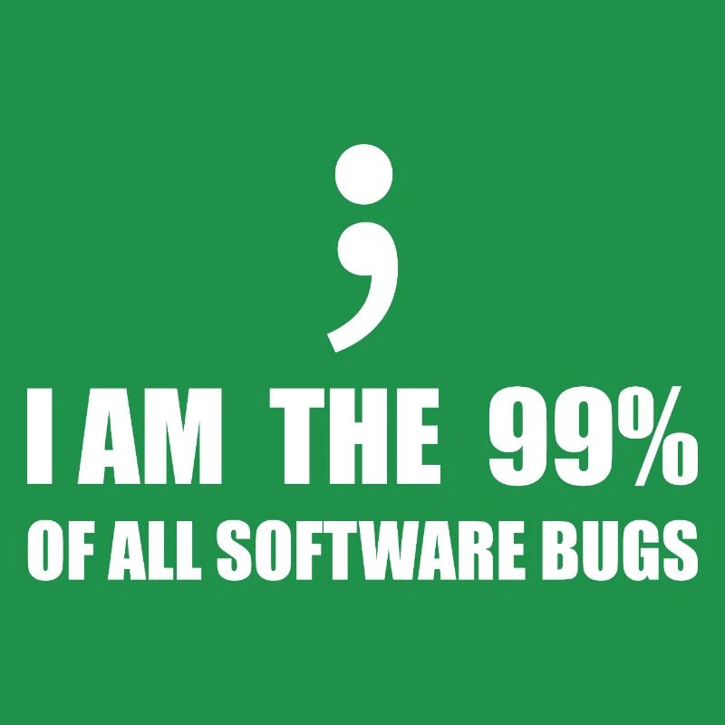 Programmeur Computer Scientist