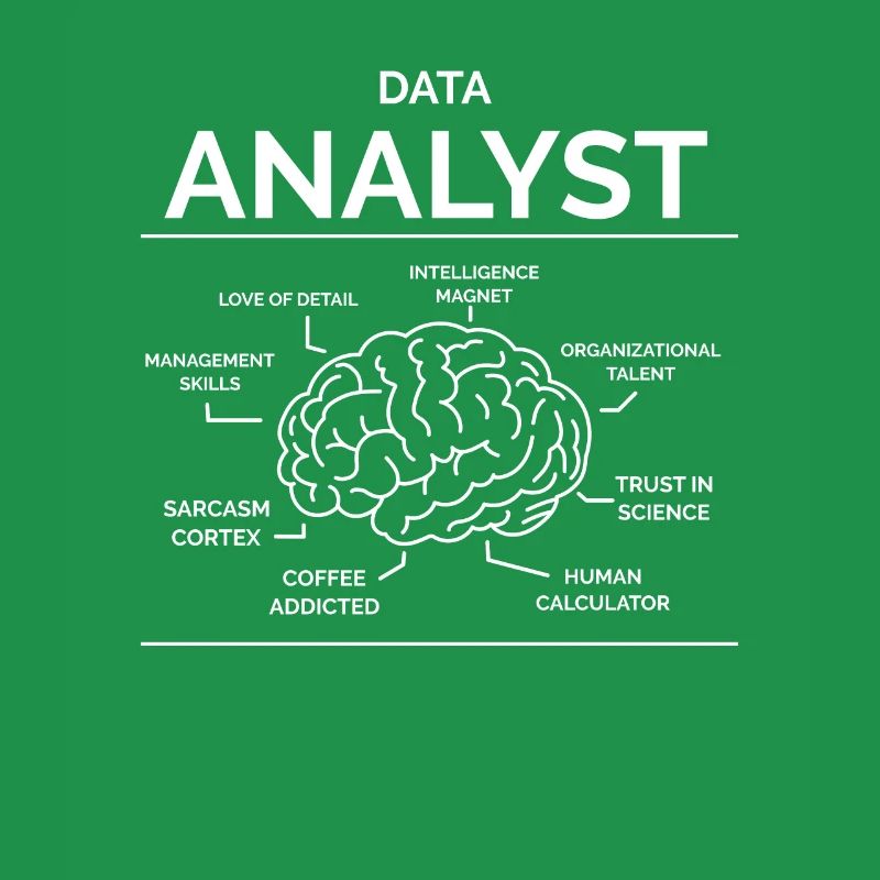 Data Analyst