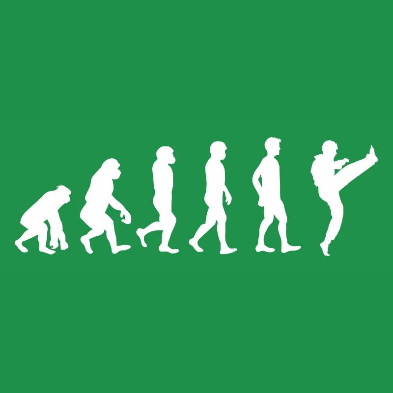Evolution Karate