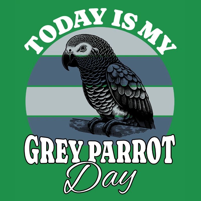 Graupapagei Grey Parrot