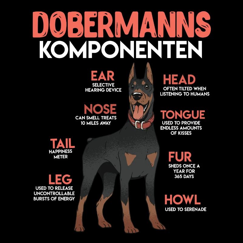 DOBERMANN KOMPONENTEN Anatomie Doberman