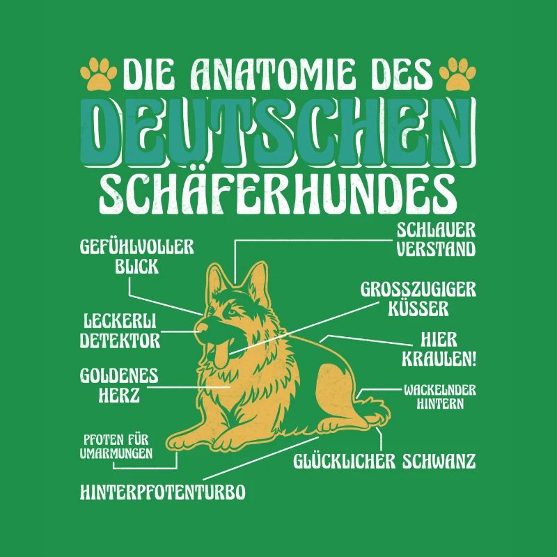 ANATOMIE DES DEUTSCHEN SCHÄFERHUNDES Lustiges