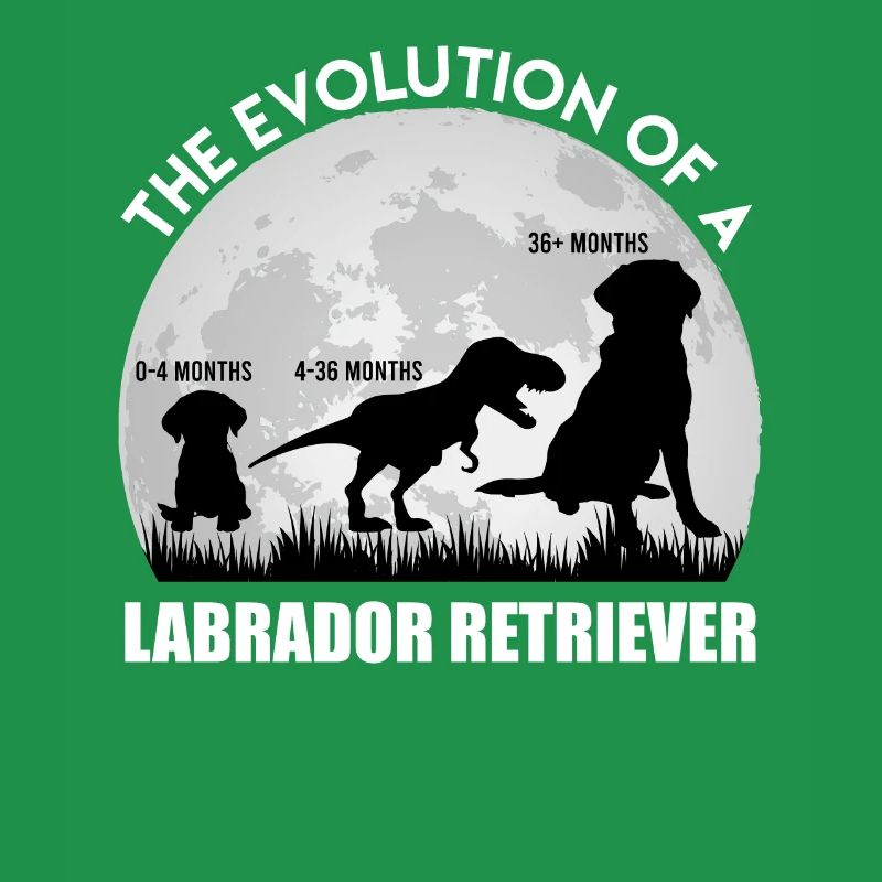 Fan du Labrador L'ÉVOLUTION D'UN Dino LABRADOR