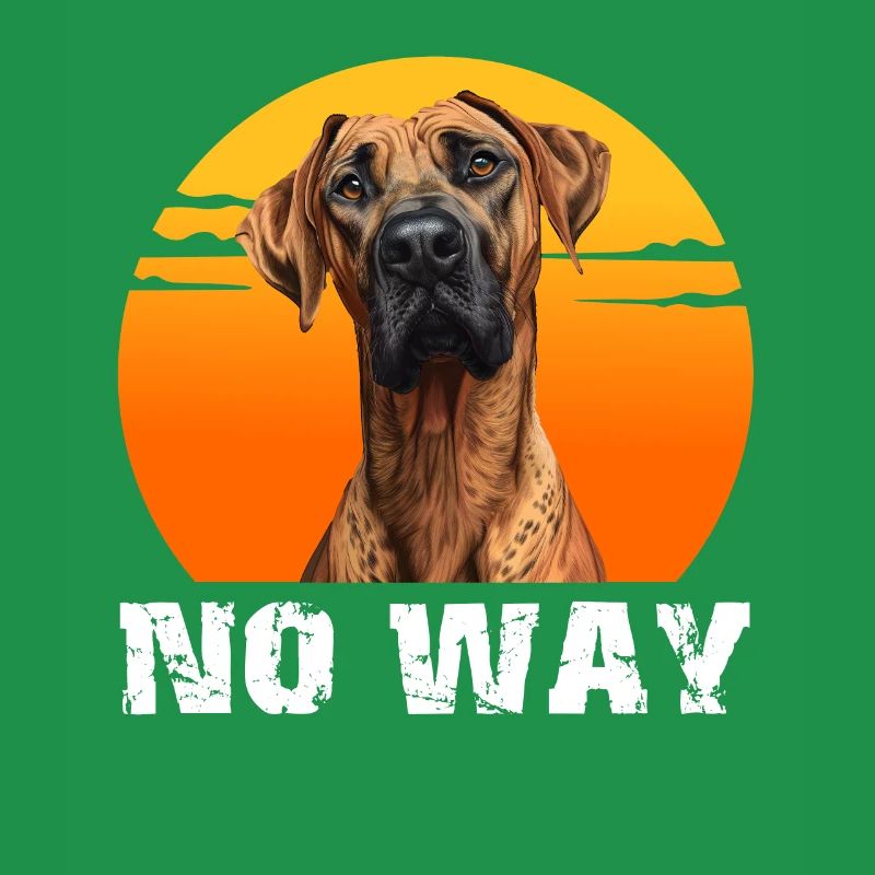 Rhodesian Ridgeback obstinément NON ! Drôle de crête