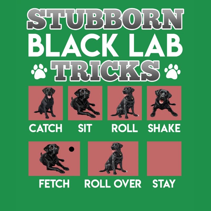 Labrador owner STUBBORN BLACK LAB TRICKS