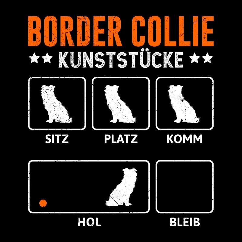 TOURS DE BORDER COLLIE Border Collie