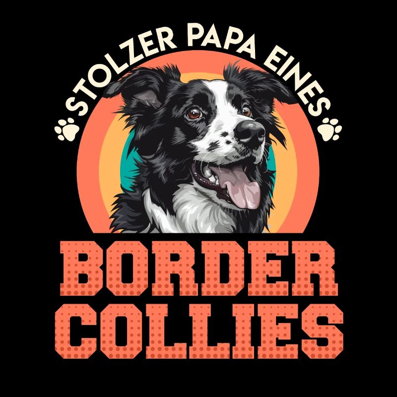 Border Collie STOLZER PAPA EINES BORDER COLLIES