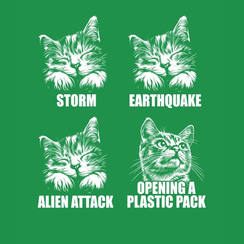 Cat - selective perception - saying