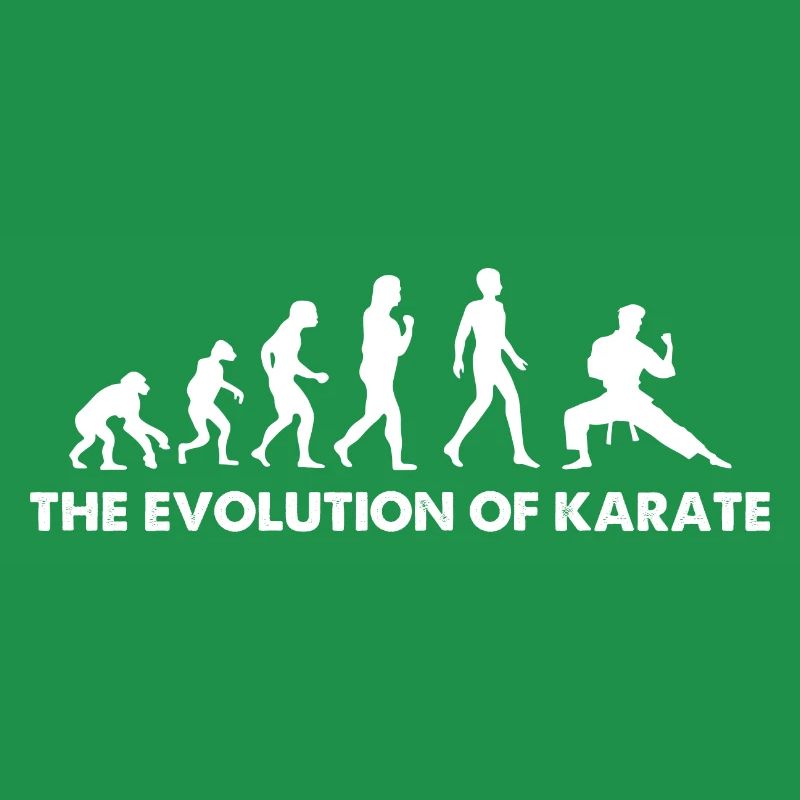 The Evolution Of Karate