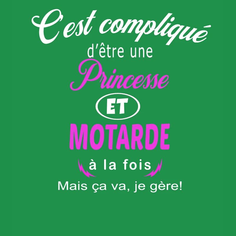 c'est compliqué princesse et motarde
