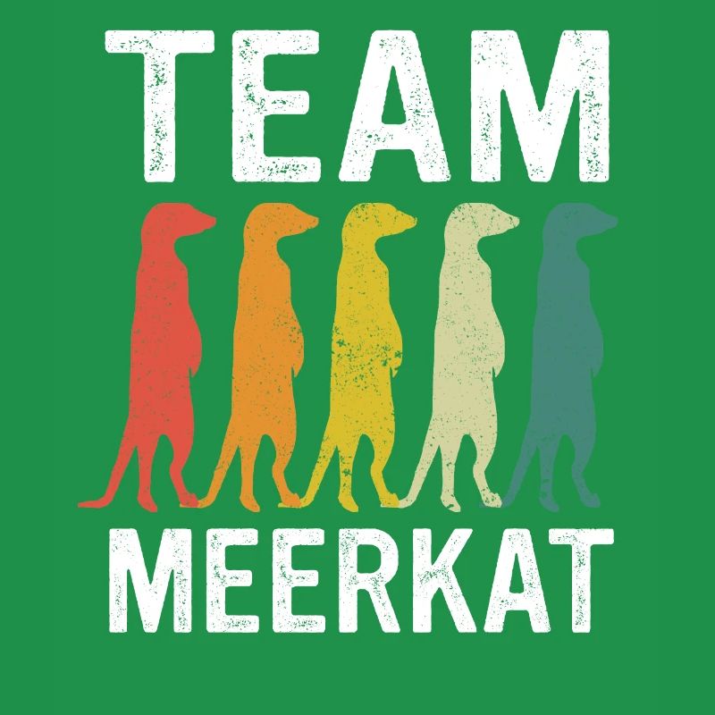 Erdmännchen Tier Erdmann