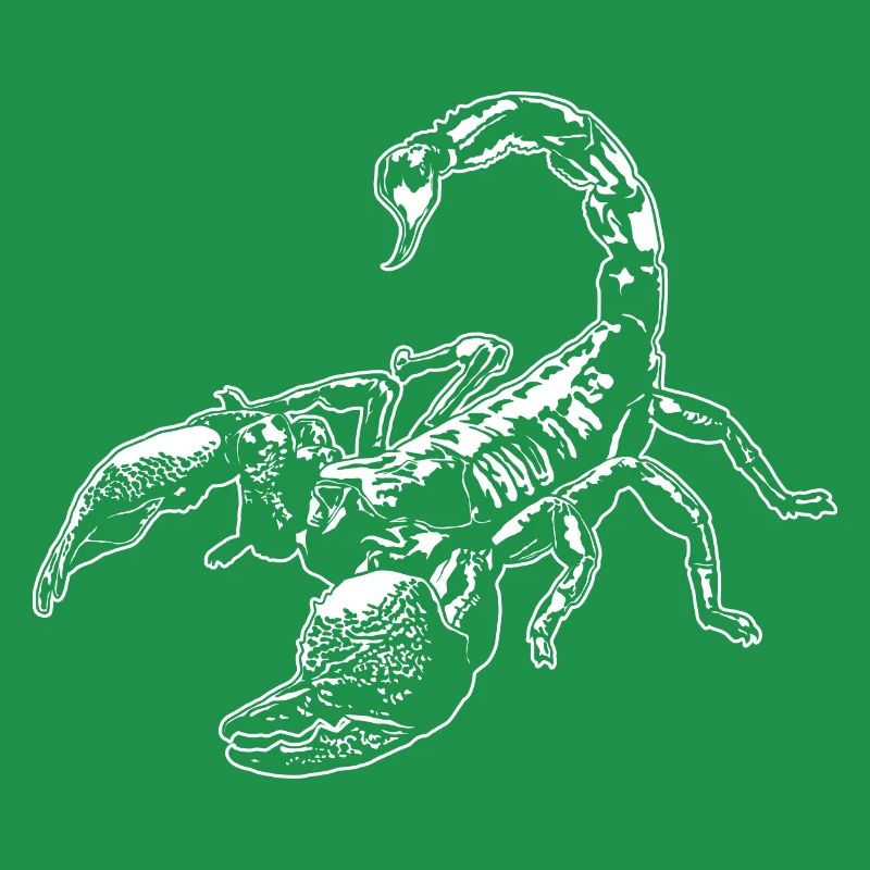 Cool Scorpion Insect Sketch Graphic Scorpion Lover