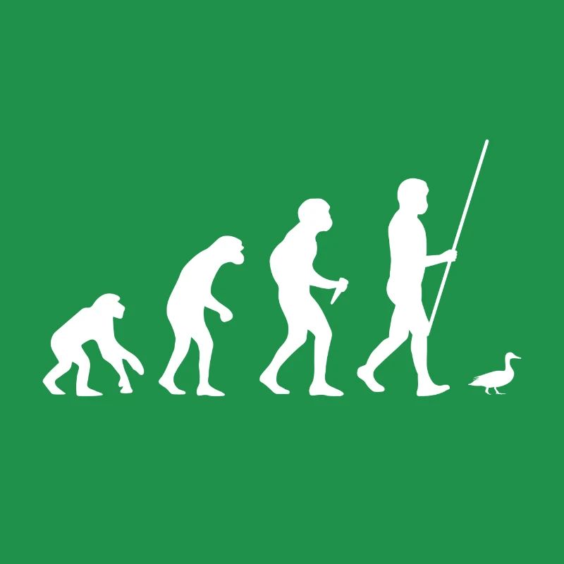 Évolution du canard