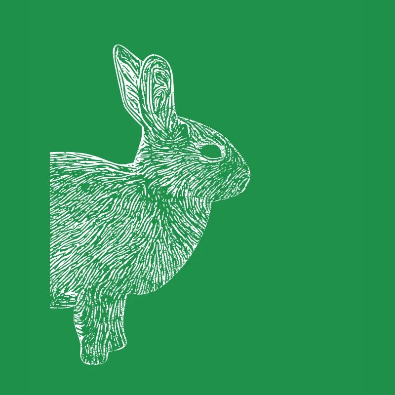 Rabbit Dwarf Rabbit