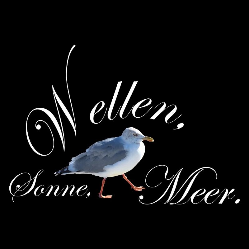 Sonne Wellen Meer Möwe Sylt Amrum Hiddensee