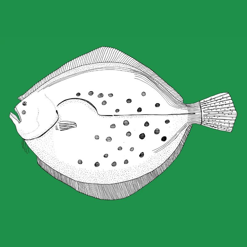 flatfish brilliance