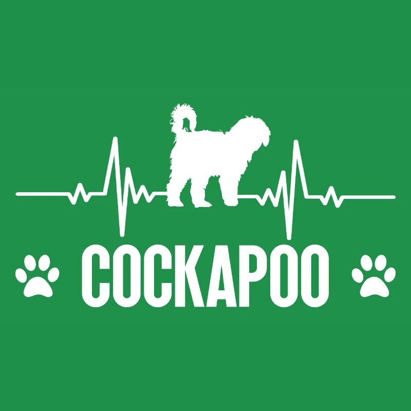 Cockapoo Dog