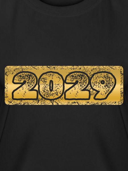 Year 2029