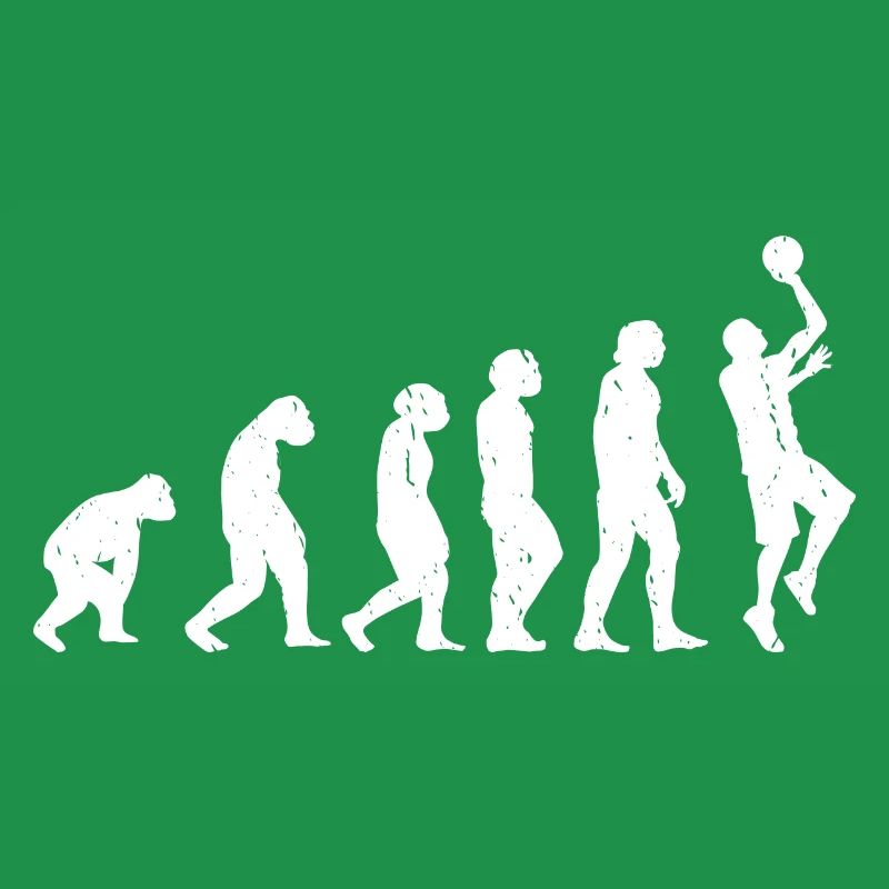 Evolution Basket-ball