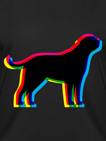 CMYK St. Bernard